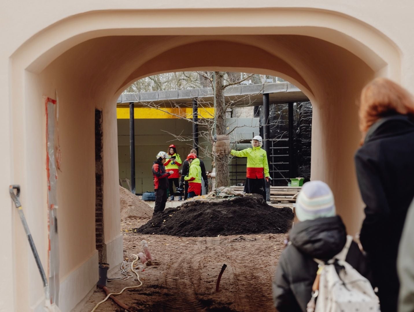 Ten Photos of the Ginkgo