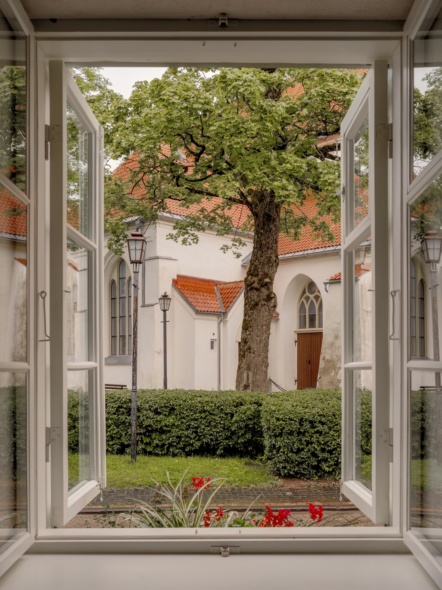 Window view